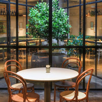 TABLE PLACE CHAIRS 🇮🇹