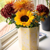 SMALL REVOLUTION 🇩🇰