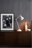 Lampe Gras N° 205