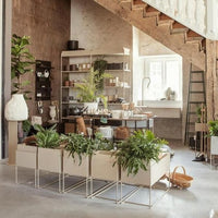 FERM LIVING 🇩🇰