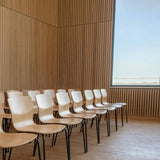 MAGNUS OLESEN 🇩🇰